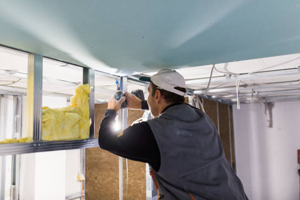 Best Eco-Friendly Insulation in Fallon, NV