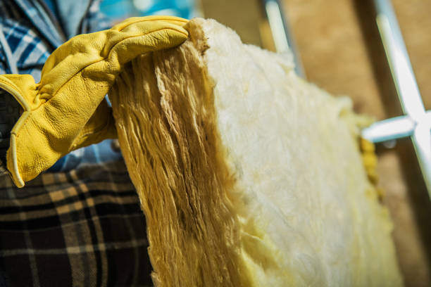 Types of Insulation We Offer in Fallon, NV
